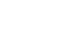Visa Payment